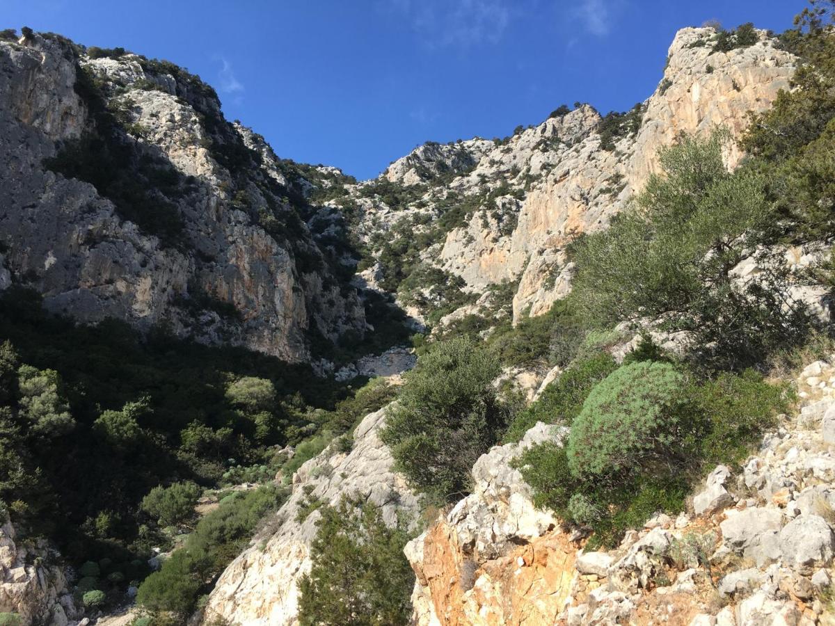 Cav Mameli Aparthotel Dorgali Buitenkant foto